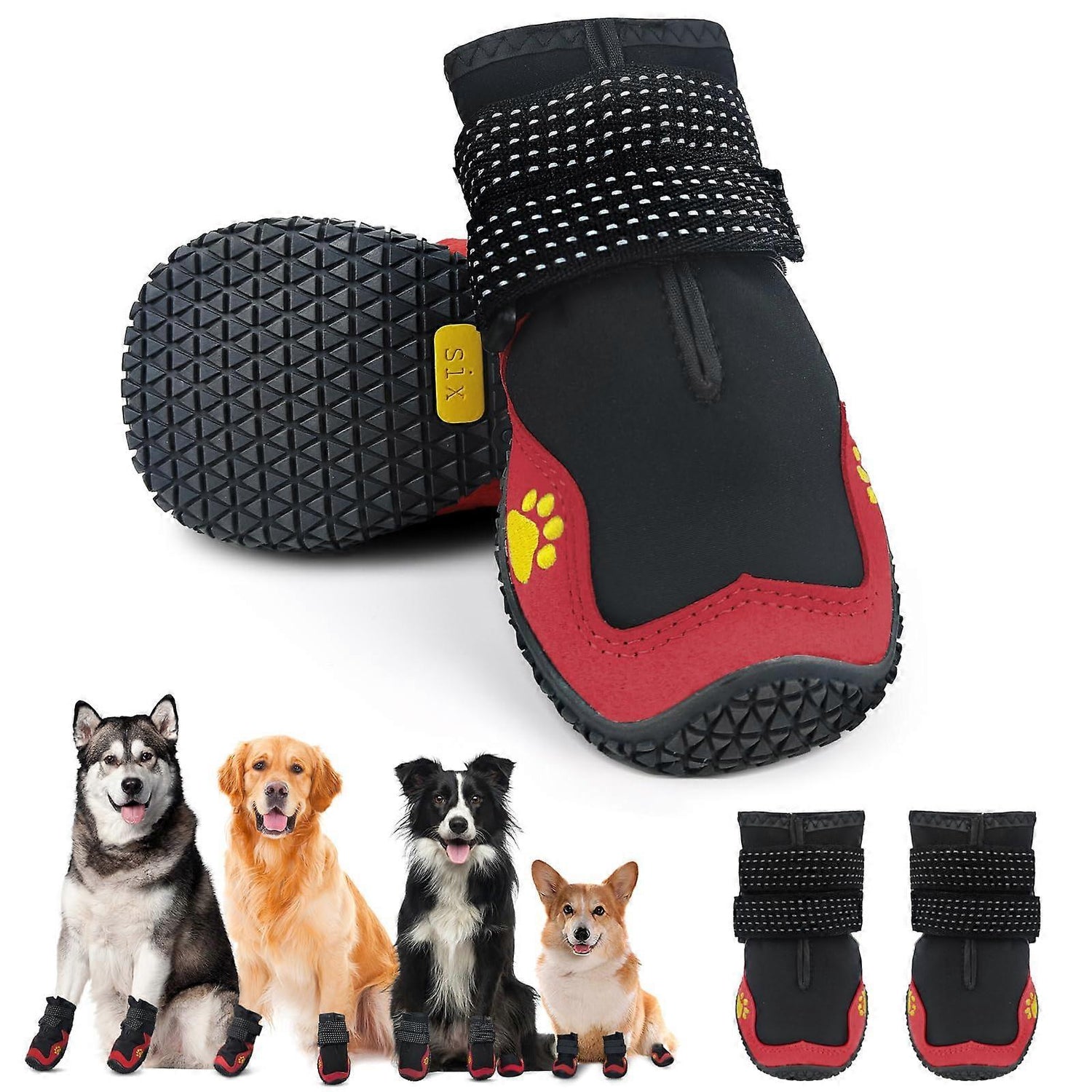 Pet Shoes