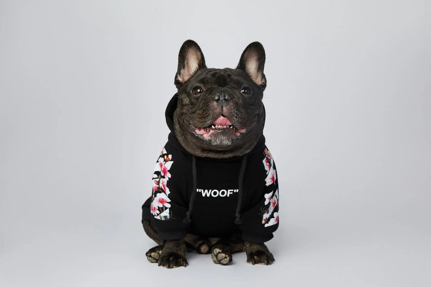 Woof Dog Hoodies M-3XL French Bull Dog Autumn Spring Clothing 2 Legged Warm Pet Outfit Sweaters