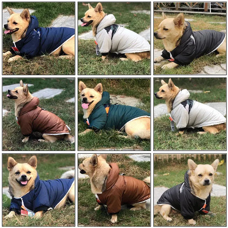 Pet Dog Clothes Winter Warm Waterproof Jacket For Small Dogs Pets Puppy Costume French Bulldog Outfit Coat Chihuahua Clothing