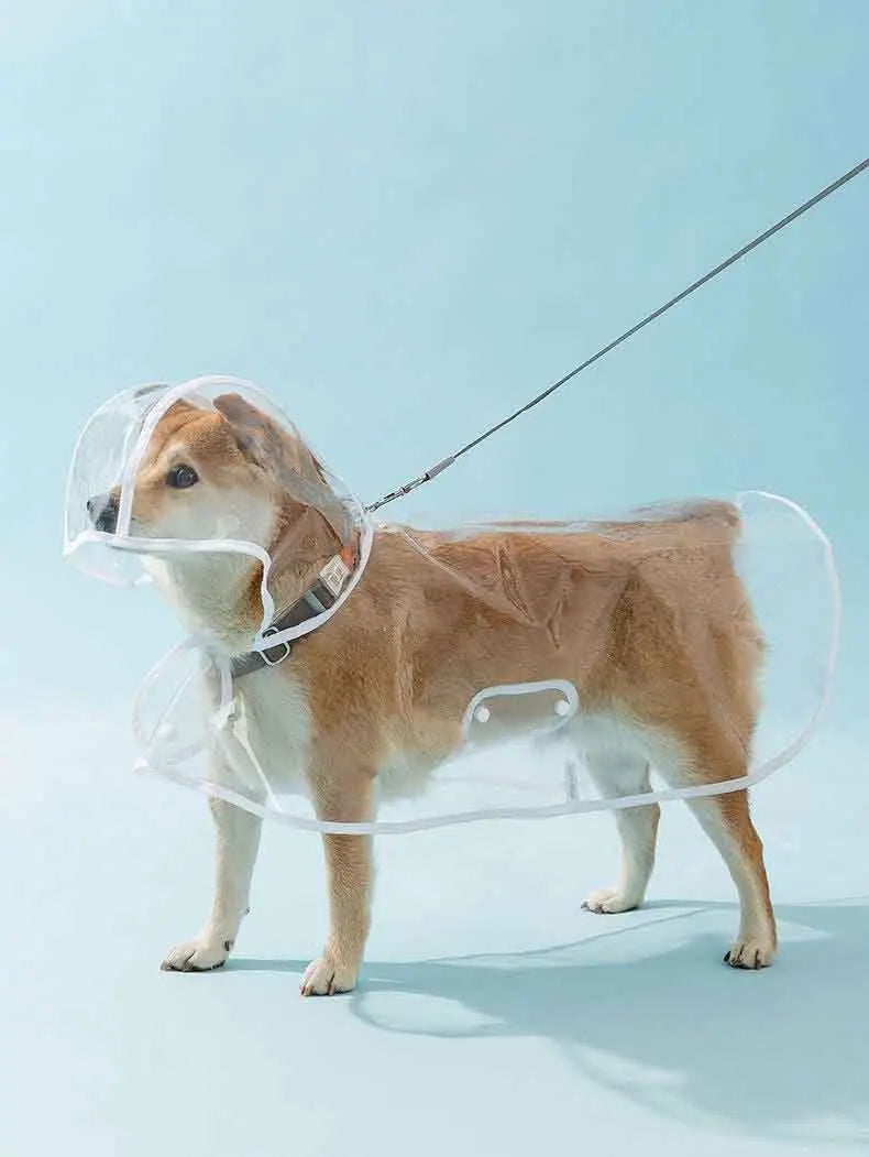 Dogs going out, transparent waterproof raincoat with hat pet raincoat