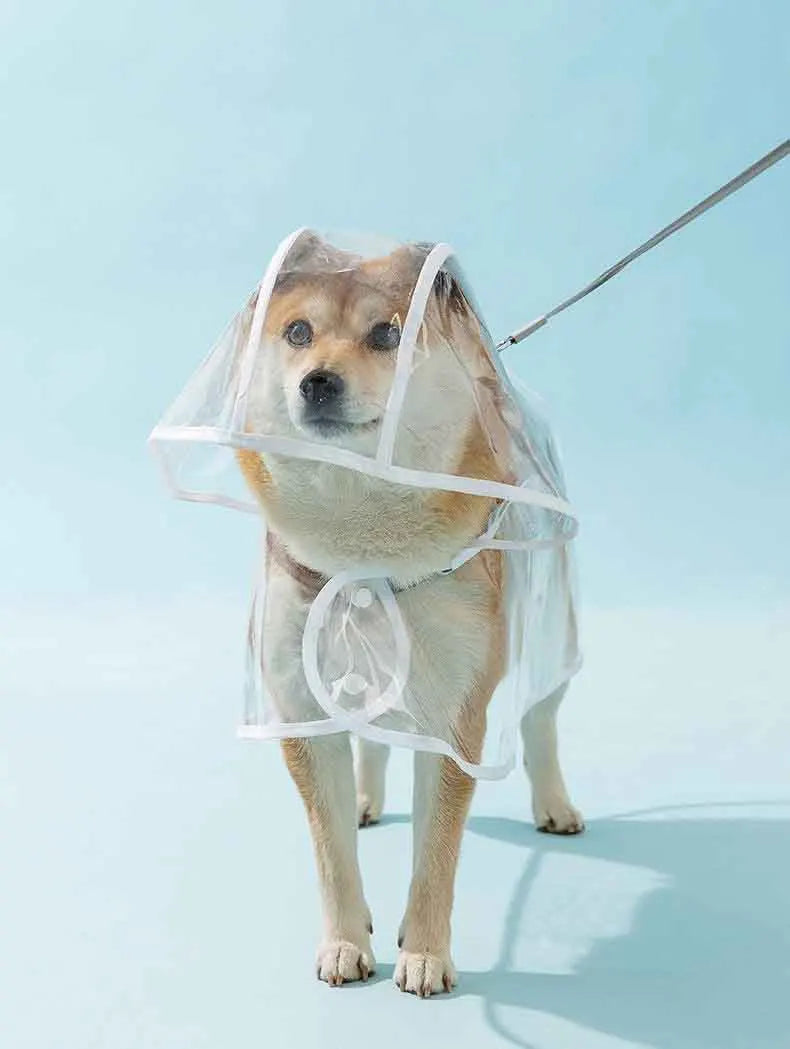 Dogs going out, transparent waterproof raincoat with hat pet raincoat