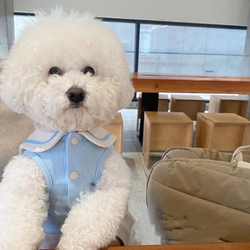 Sailor Collar Stripe Polo Shirt for Small and Medium Dogs Puppy Clothes Sweatshirt Cute Dog Vest T-Shirt