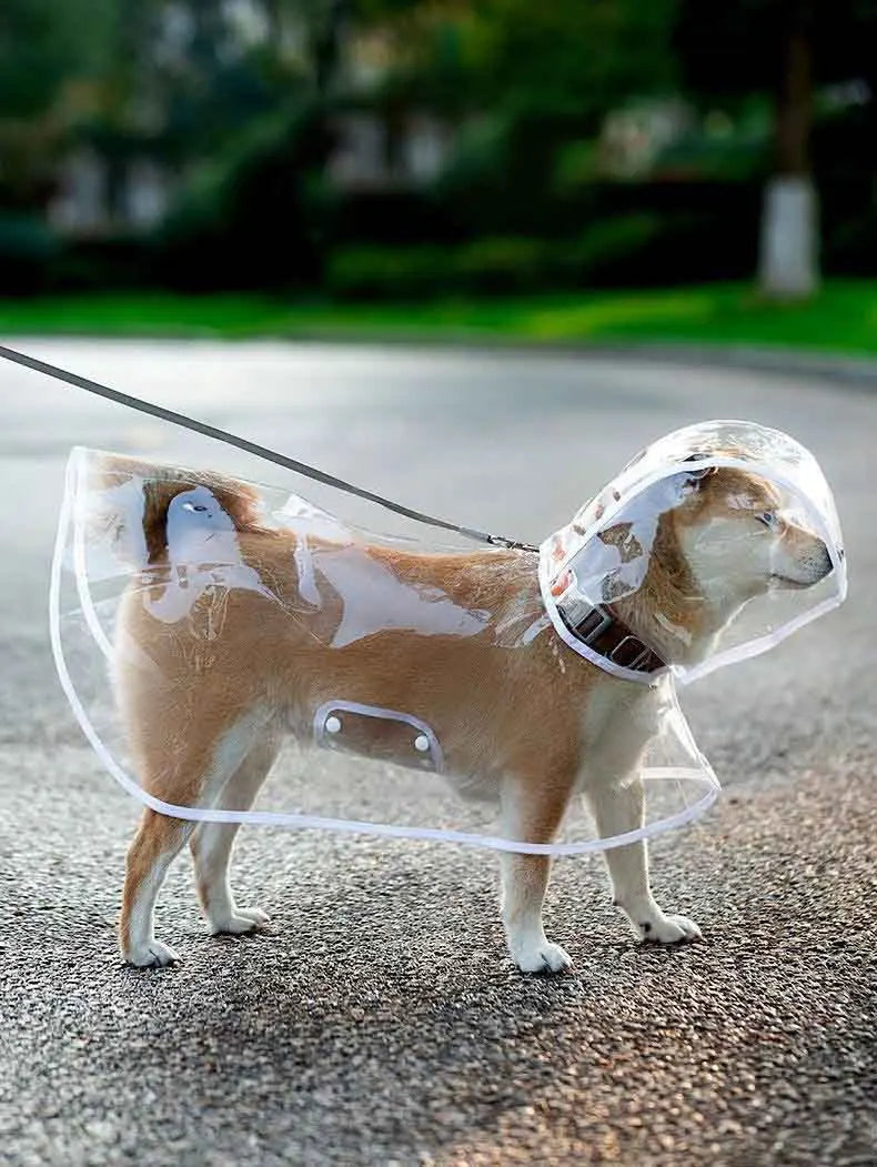 Dogs going out, transparent waterproof raincoat with hat pet raincoat