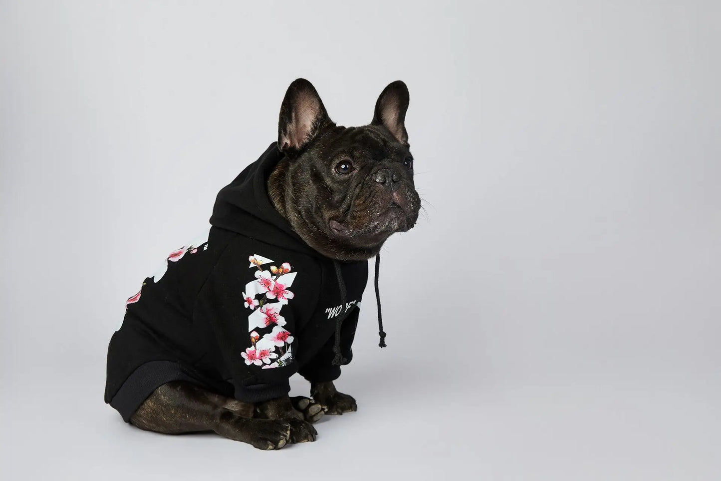 Woof Dog Hoodies M-3XL French Bull Dog Autumn Spring Clothing 2 Legged Warm Pet Outfit Sweaters