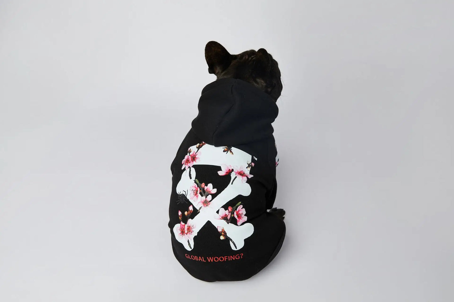 Woof Dog Hoodies M-3XL French Bull Dog Autumn Spring Clothing 2 Legged Warm Pet Outfit Sweaters