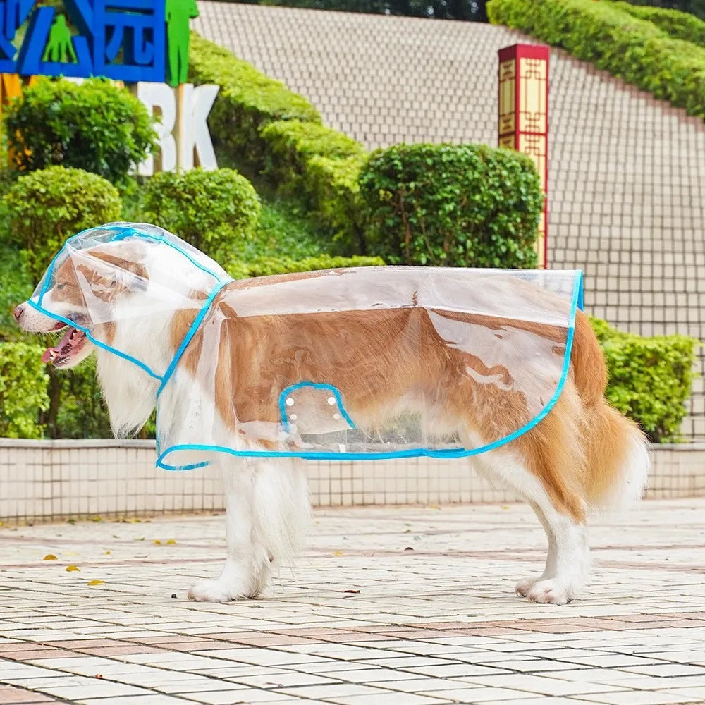 Dogs going out, transparent waterproof raincoat with hat pet raincoat