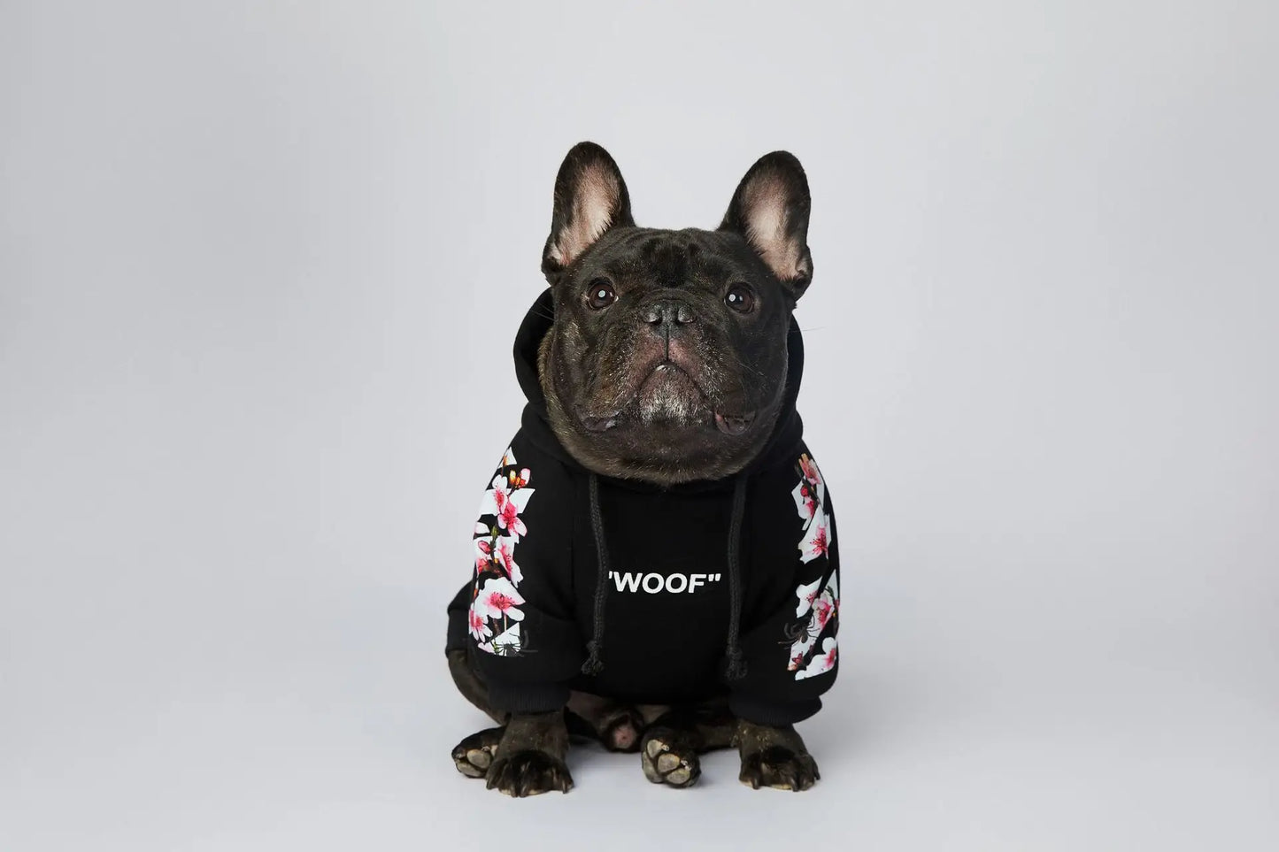 Woof Dog Hoodies M-3XL French Bull Dog Autumn Spring Clothing 2 Legged Warm Pet Outfit Sweaters